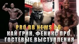 PRO BB NEWS #6: Кай Грин, Феникс Про и Гостевые выступления звезд!