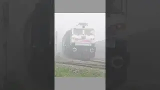 Train in Fog #shorts #indianrailways #shortsvideo #train #bihar #fog