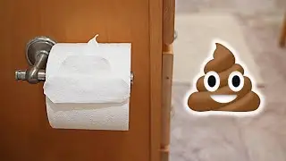 Toilet Paper Poop Origami 💩