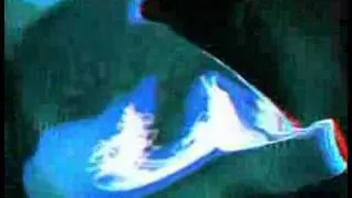 DJ Trancer - Fallen Angel (Dolphin Trance Club Mix - 1999)