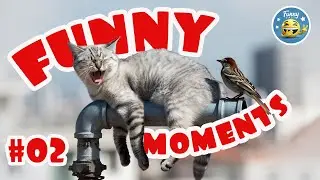 😂 Funny Moments 02  #funny #laugh #trynottolaugh