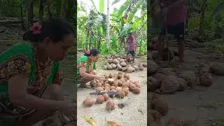 Masak sayur nangka satu kuali pakai bumbu opor ayam. #sayurnangka #tungkukayu 