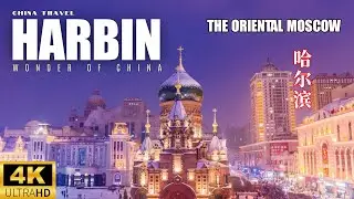 Harbin, China 🇨🇳  | The Ice City of Heilongjiang | China Travel
