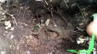World War II and Revolutionary War Digging...More Cannonballs!!!