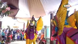 Kecewa Burok TPJ Live Kanci Astanajapura Cirebon