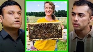 Earn ₹1 Lakh from Honey Farming 🐝 | Bee Business Model Explained