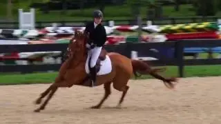 Paws and Rewind at Princeton Show Jumping Spring 2016