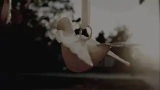 Max Richter - On the Nature of Daylight - Short film