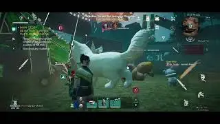 Once human Fighting Enchantment Cat Arena