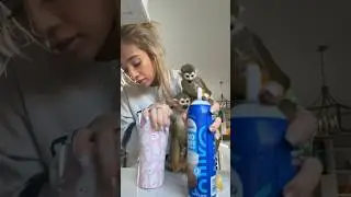 snapchat👻- madelinebennet       #madlovesripley #monkey  #beauty #grwm #animals #funny #viral