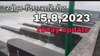 Pong dam today update || Pong dam today news