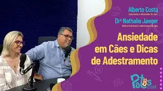 Desvendando a Ansiedade de Separação e Explorando Dicas de Adestramento de Cães