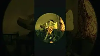 fisheye effect #youtubeshorts #fashion #samsung #cinematicvideo #photography