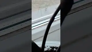 они мои друзья я сёдня выйду и попрошу штеп в синяй майке зашла на мой акк