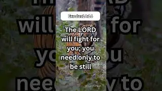 God Will Fight for You | Exodus 14:14 Explained &ndash; Faith Over Fear Encouragement