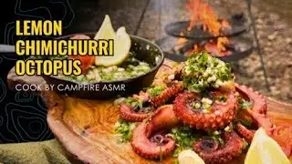 ASMR Fireside Coffee & Octopus Riverside