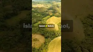 The Sweetest Natural Wonder: Chocolate Hills of Bohol! 😲