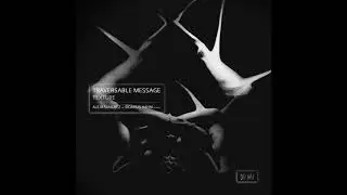 Traversable Message - Surface (Aleja Sanchez Remix) [NWR018]