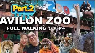 Avilon Zoo Part 2. Tara Mga Idol Let's Go