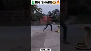 Gorka vfx funny video🐍big snake in village #shorts #viral #snake #vfx #funnyvideo #funny
