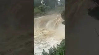 #cyclone #cyclonetam #newzealand