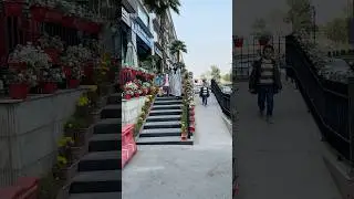 Fatima at dha raya #shorts #viral #trending #dharaya