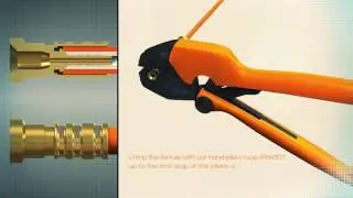 Dinamo3d - Transferoil -  Gomax