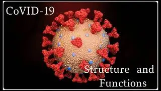 Structure, Vitals and Functions of CoVID-19 explained in 1 minute.