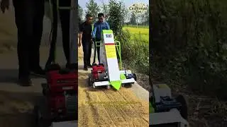 Farmers operate grain bagging machines to bag rice grains