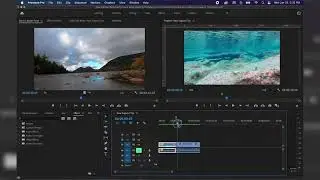 Adobe Premiere Project Panel Explained