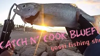 תפיסה  ובישול דג גומבר