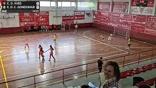 C. D. AVES VS EDC GONDOMAR Sub 13 Femenino 2st
