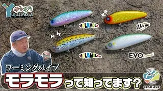 モラモラって知ってます？　オーバスライブのワーミングバイブ「モラモラ」シリーズ全解説【Vish ゆるモラ】