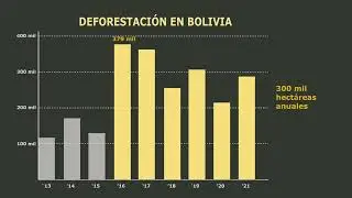 ¿POR QUÉ EMPEORÓ LA DEFORESTACIÓN EN BOLIVIA?
