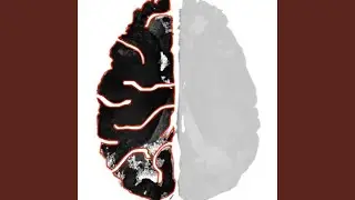 EnerG