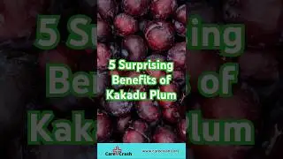 5 Surprising Benefits of Kakadu Plum | #carecrash