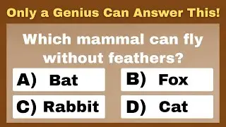 Only True Animal Lovers Can Score 10/10! 🐾 Ultimate Mammal Quiz Challenge&rdquo;