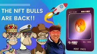 THE NFT BULL RUN IS BACK?! (IMPORTANT!)