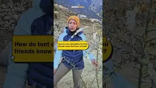 Do You Know Who Else Lives In Tents Just Like Trekkers | Naturalist | Indiahikes #nature