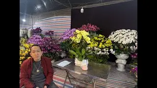 1/2 VÀO MUA HÀNG NÀO CÁC CỤ 0906110068