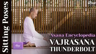 How to do Vajrasana (Thunderbolt Pose ) | Steps & Benefits | Asana Encyclopedia