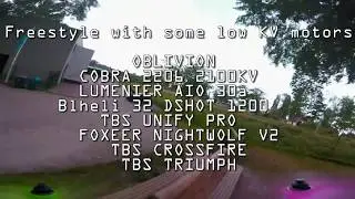 TBS Oblivion build. Can you freestyle with low kv motors?