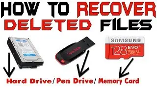 How to Easily Recover Deleted Files in Windows | Easy Tutorial |  file recovery |  hard disk