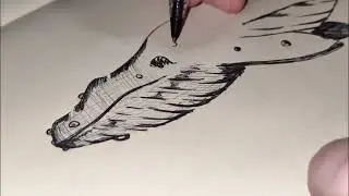 Drawing a WINGED WHALE (Sky Leviathan Speed Drawing)