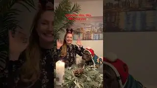 Calendar opening with my favorite aunt.🎁🎄✨ #christmas #funnydogs #cute #foryourpage #et #hippo &hearts;️