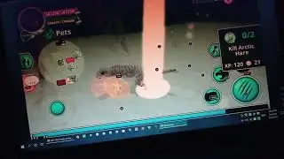 Snow Leopard Family Sim Online 21 - recovery account