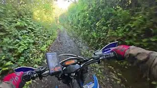 Daniel&rsquo;s Lane, Broadhempston GRM:5587 Devon Green Lanes S-N 
