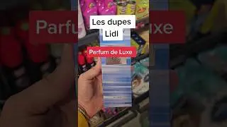 Les Dupes Lidl parfum de Luxe ! 🔥