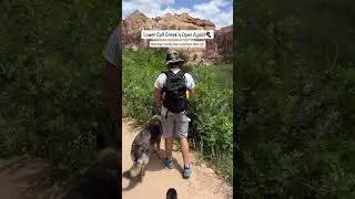 The Best Dog Friendly Hike in Southern Utah is Open Again! 🐕🥾 Save for later planning! 🥾Lower