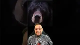 Urso negro asiático, com a voz do narrador do 